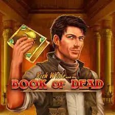 Book of Dead logo by Play&#039;n GO at LeoVegas Casino